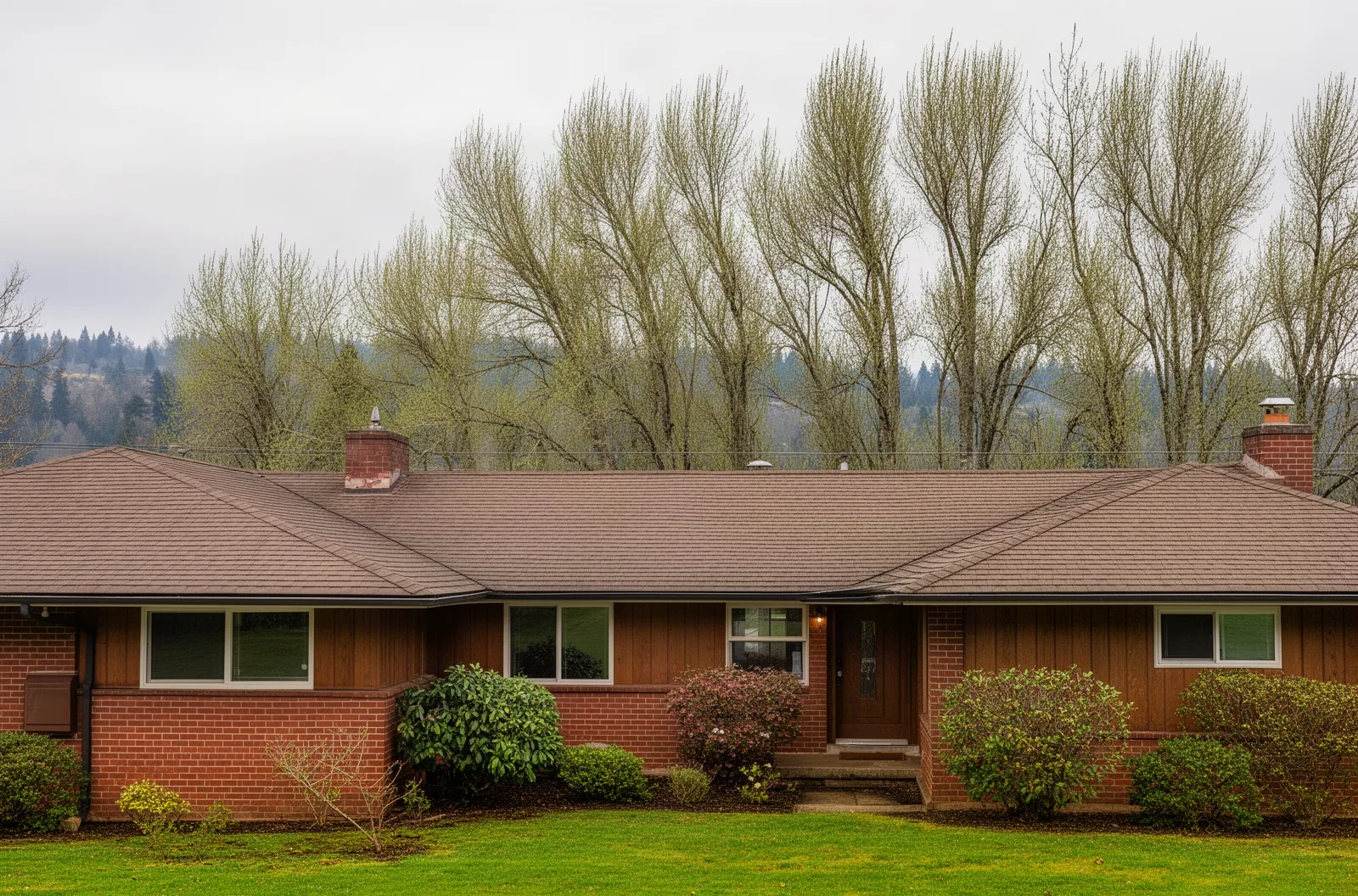 Rambler near North Creek in Bothell