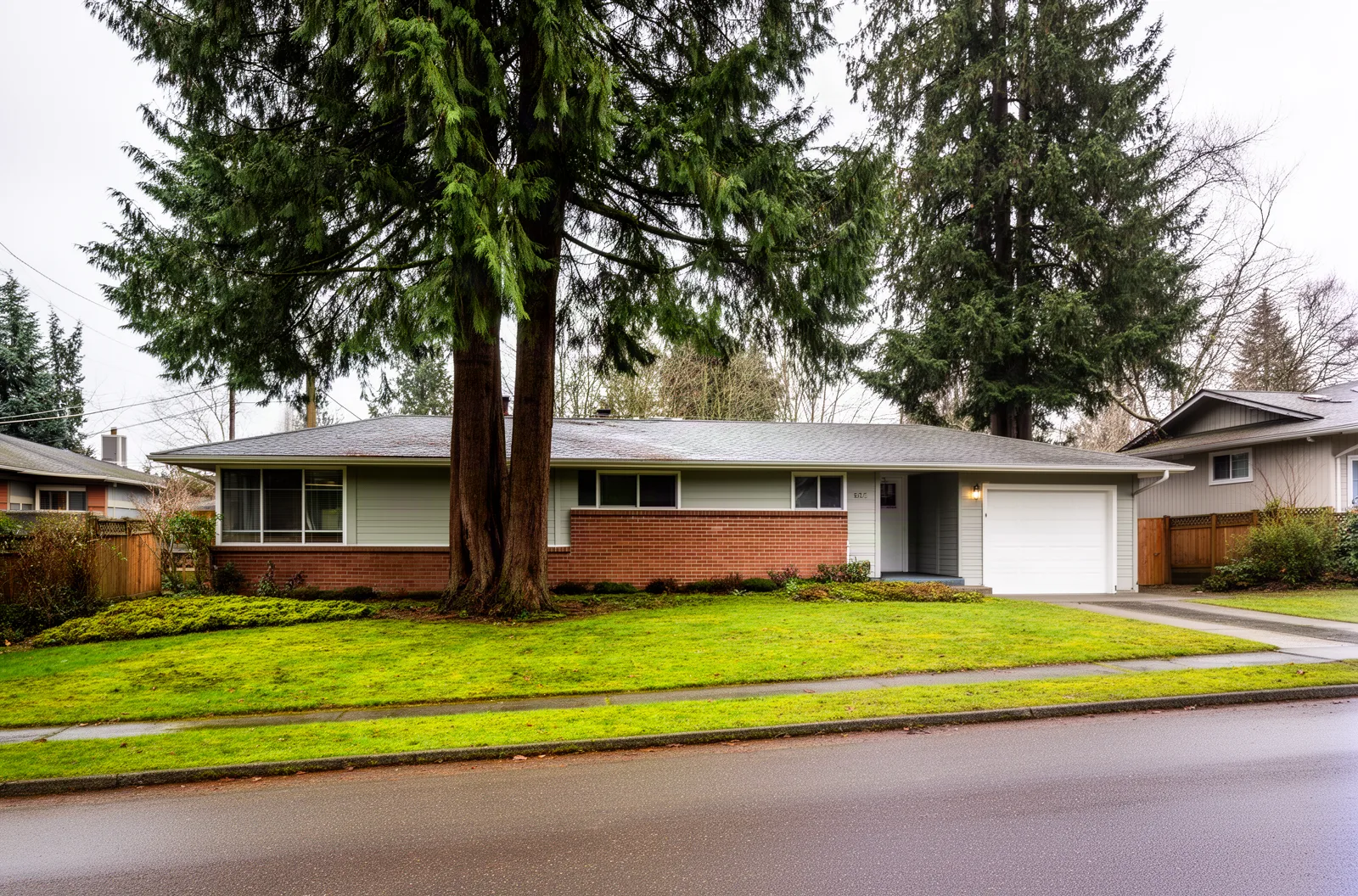 1950s rambler with cedar trees in North Seattle